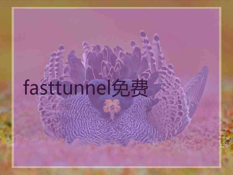 fasttunnel免费