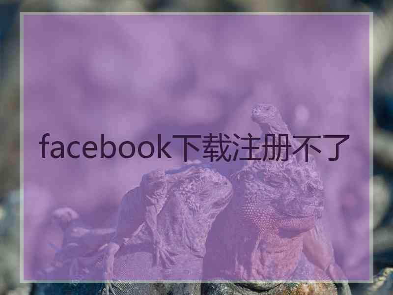 facebook下载注册不了