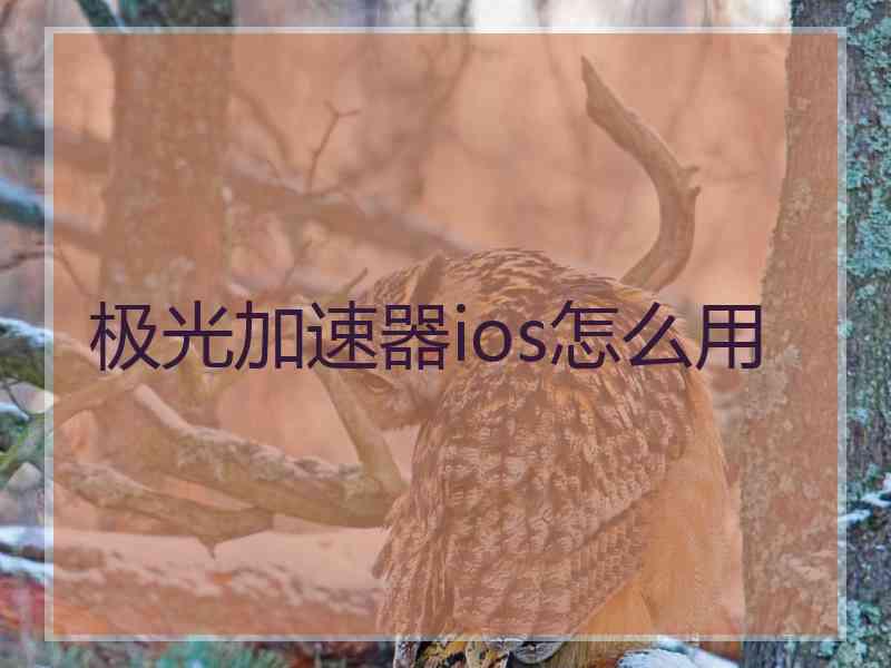 极光加速器ios怎么用