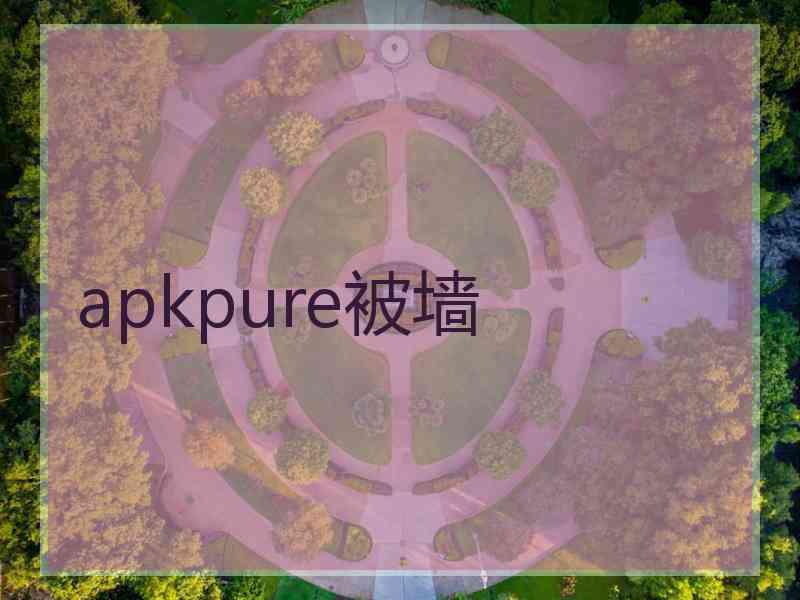 apkpure被墙